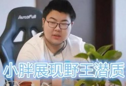 小胖直播间爆料刘磊视频,刘磊视频背后的惊人真相