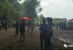 扶绥新闻爆料网最新消息,最新爆料揭示重大事件进展！