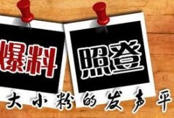 新闻大爆料300字,揭秘惊天秘密，真相令人震惊！