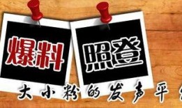 新闻大爆料300字,揭秘惊天秘密，真相令人震惊！