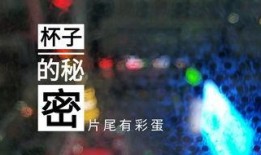 丹东饭店爆料视频播放网站,一场网络舆论风暴的幕后真相
