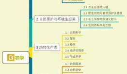 夜深人生爆料视频大全集,视频大全集深度解析