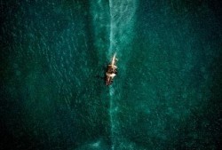 海洋深处在线观看,跟随海洋深处在线之旅