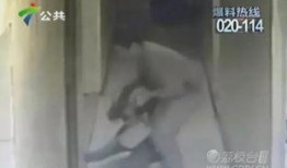 遵义新娘邻居爆料视频大全,揭秘婚礼现场幕后故事